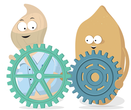 Business Management Placement: Two nuts working together to manage business